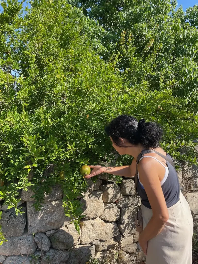 Parco di Belloluogo 2 Lecce - Italy Unseen