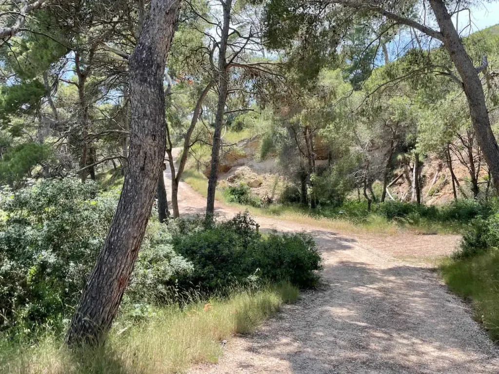 san domino island trail isole tremiti gargano puglia 1