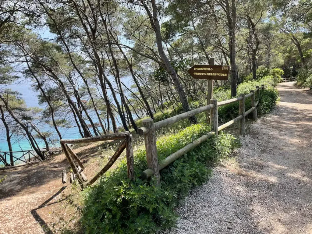 san domino island trail isole tremiti gargano puglia 2