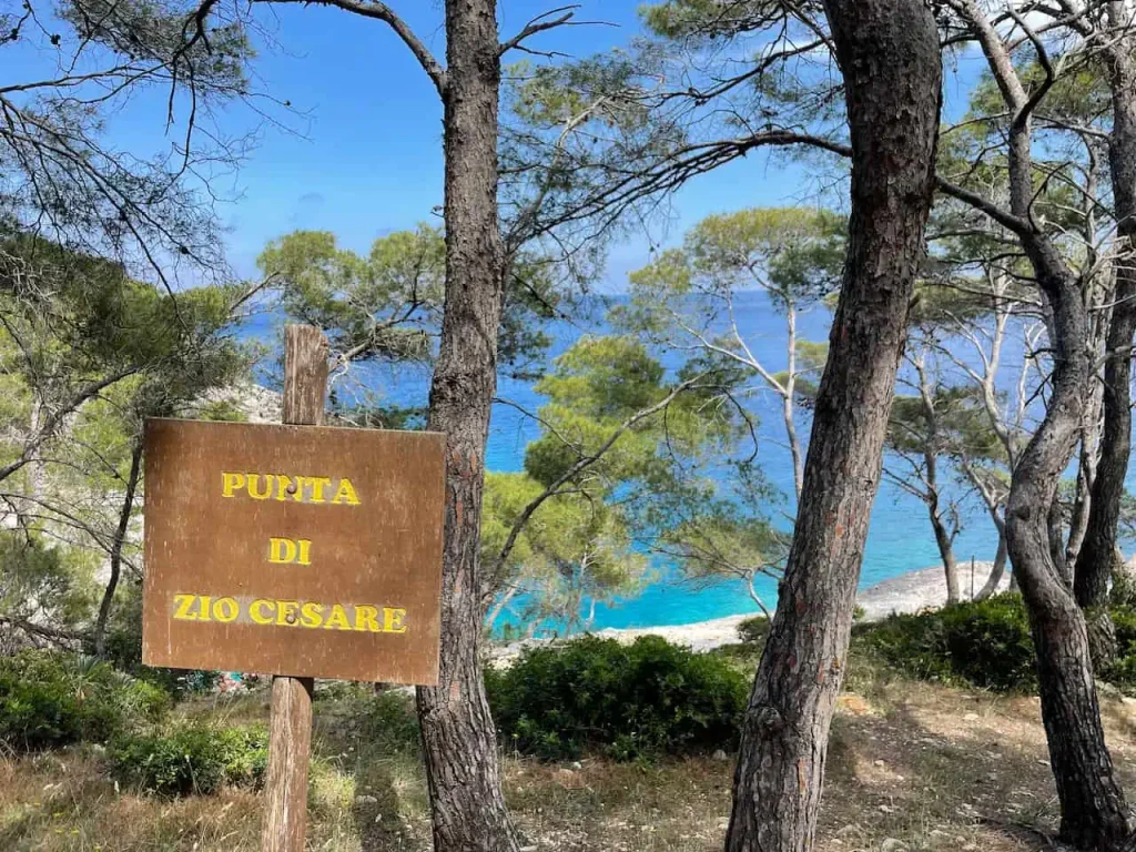 san domino island trail isole tremiti gargano puglia 4