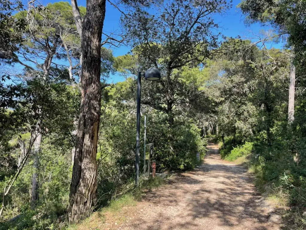 san domino island trail isole tremiti gargano puglia 5